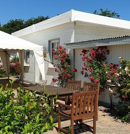 Ferienbungalow Haus Am Teich Boltenhagen  Exteriör bild