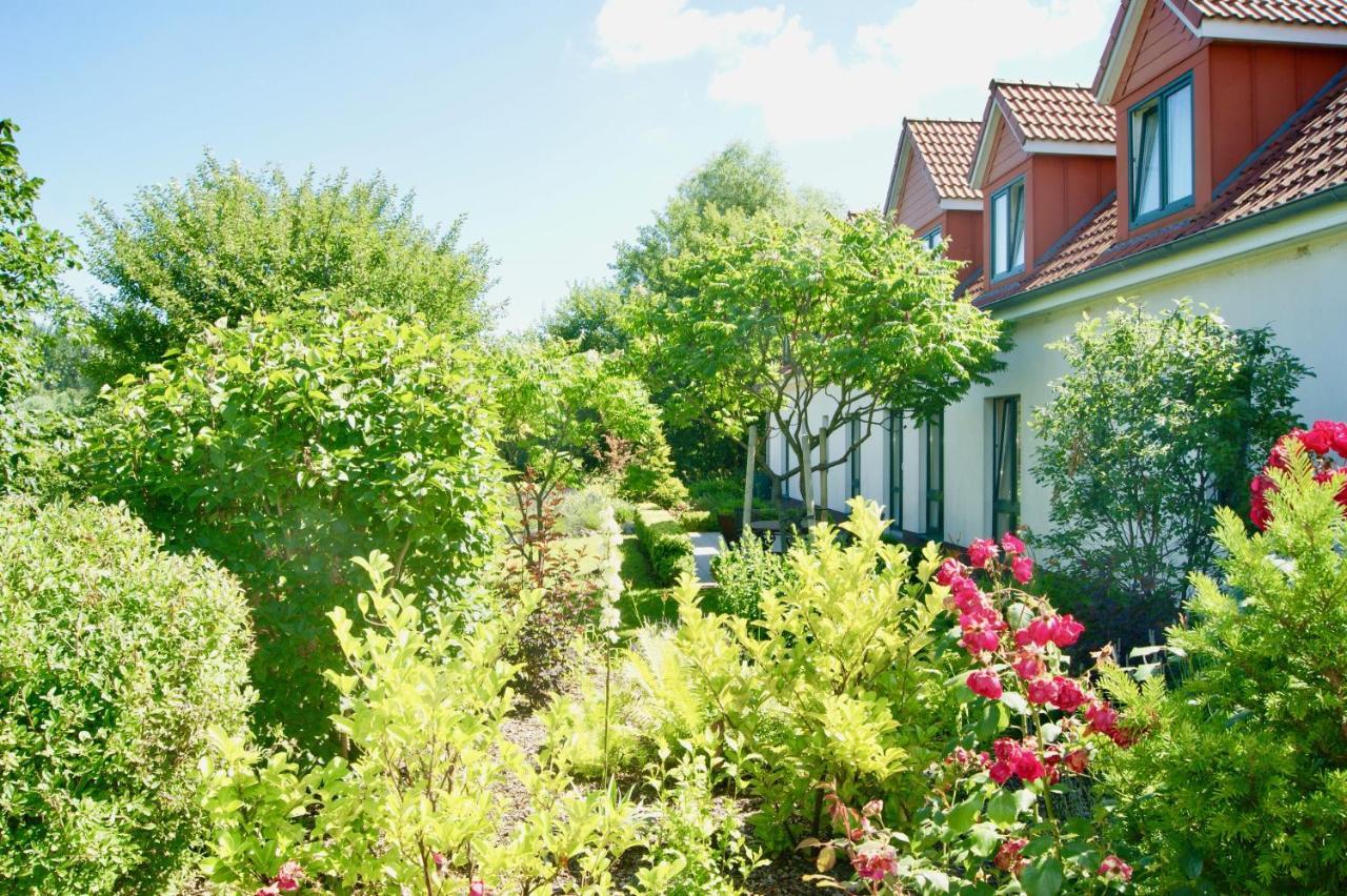 Ferienbungalow Haus Am Teich Boltenhagen  Exteriör bild
