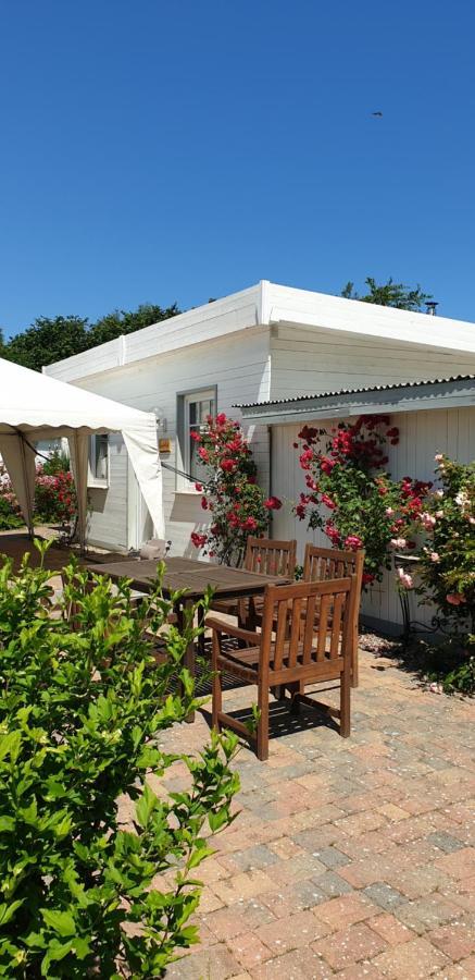 Ferienbungalow Haus Am Teich Boltenhagen  Exteriör bild