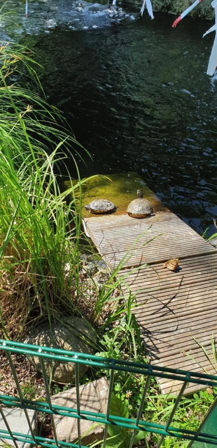 Ferienbungalow Haus Am Teich Boltenhagen  Exteriör bild