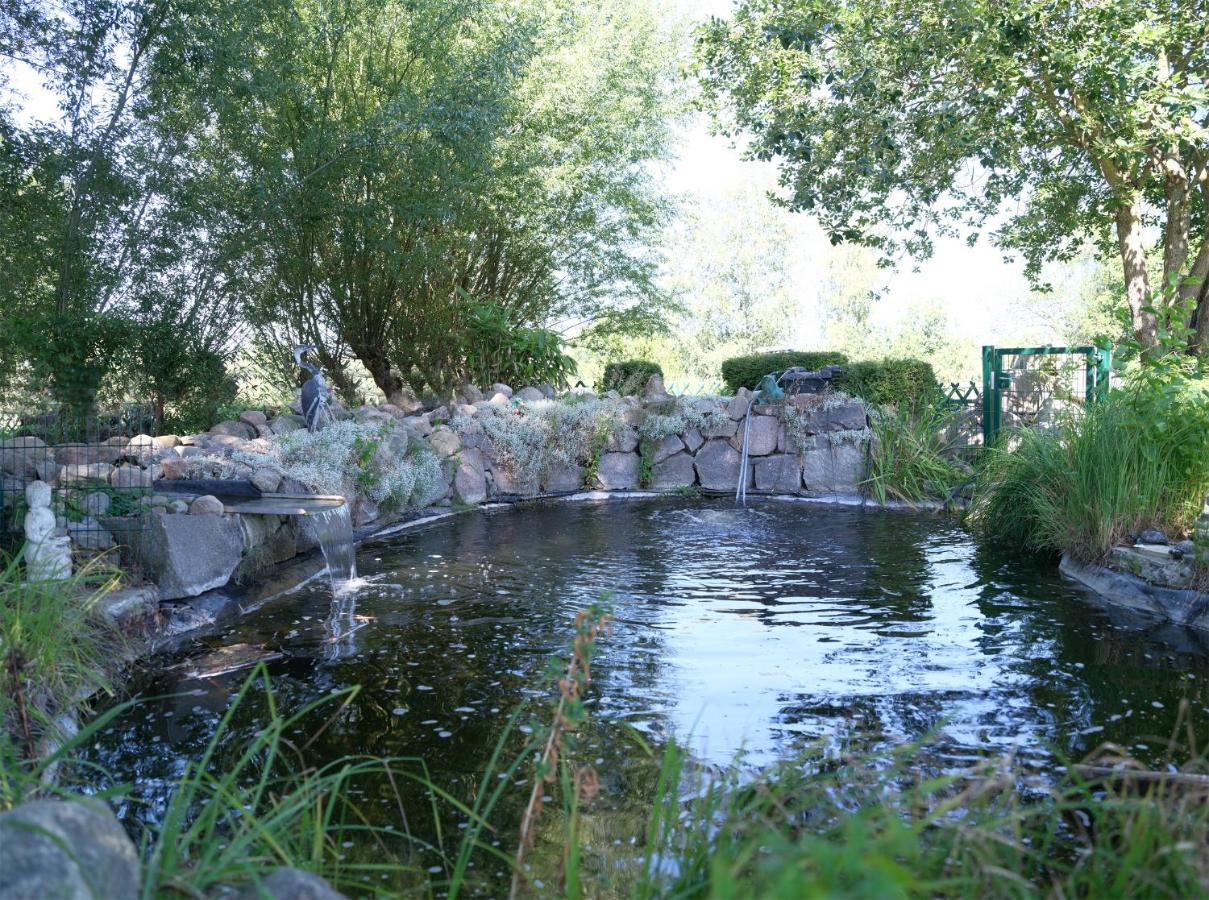 Ferienbungalow Haus Am Teich Boltenhagen  Exteriör bild